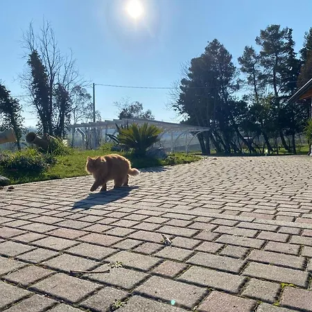 Fai Bei Sogni-green Bed & Breakfast Coriano
