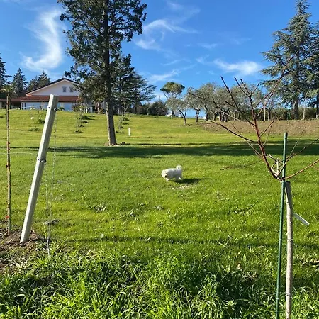 Fai Bei Sogni-green Bed & Breakfast *