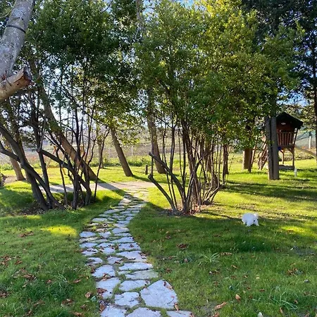 Fai Bei Sogni-green Bed & Breakfast