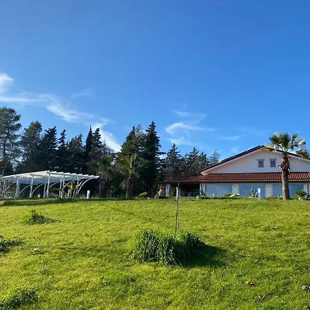 Fai Bei Sogni-green Bed & Breakfast *